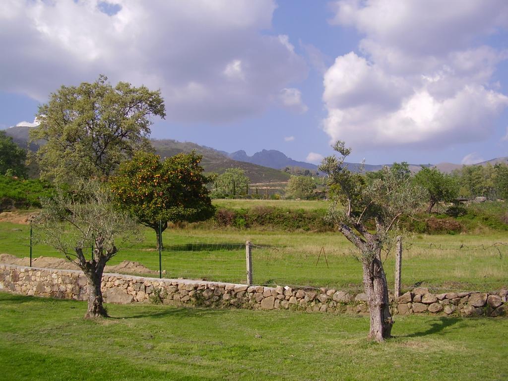 Casa Rural Ropino Pension El Raso Buitenkant foto